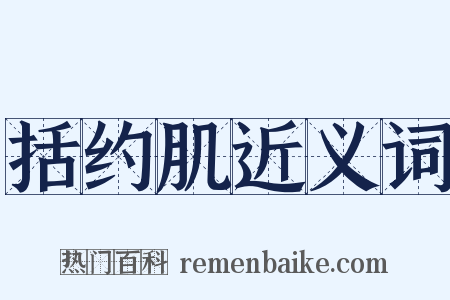 括约肌近义词是什么意思的图片